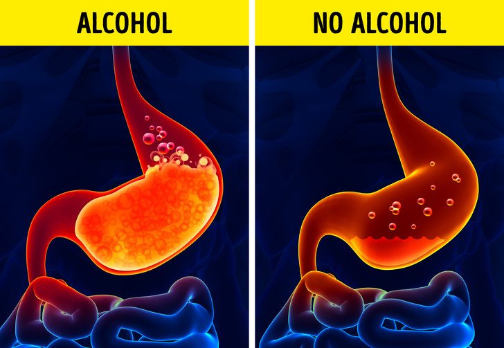 Что происходит с вашим телом, когда вы не пьете алкоголь в течение 28 дней