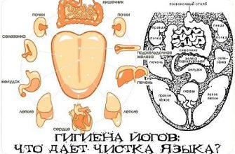 Что дает чистка языка?