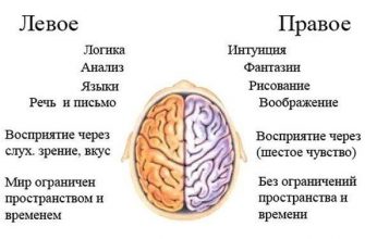 Тренировать нужно не только тело. Упражнение ума для развития мозга.