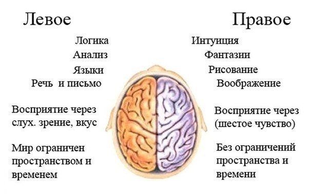 Тренировать нужно не только тело. Упражнение ума для развития мозга.