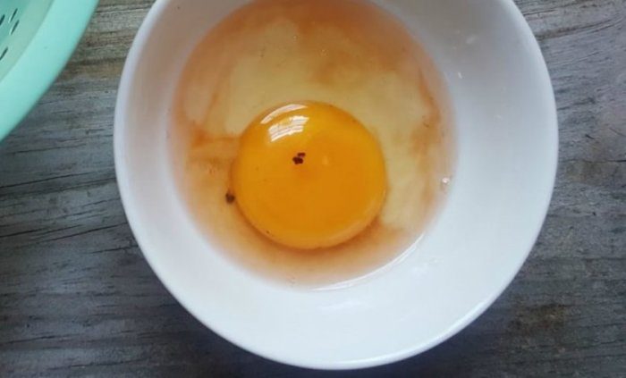 Миф или правда: можно ли есть яйца с красным пятном на желтке?