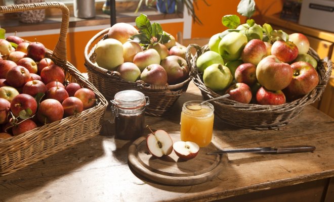 Заготовки из яблок на зиму – лучшие рецепты. Простые и вкусные рецепты из яблок на зиму!