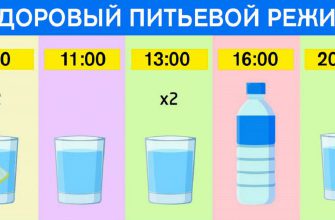 График для худеющих: ешь что хочешь и пей воду по часам. Результат — минус 15 % жира!