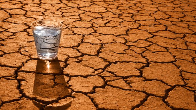 «Живая вода»: что произойдет, если вы замените все напитки водой