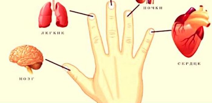 Каждый палец связан с внутренними органами: методы лечения из Японии за 5 минут