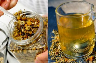 Что лечит чай из ромашки: 10 доказанных медициной свойств. Исключительный напиток!