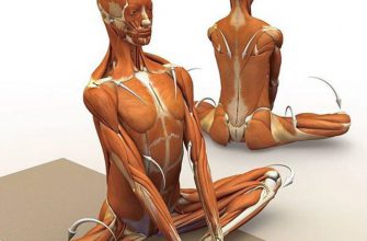 Упражнения, которые снимут напряжение от шеи до пяток