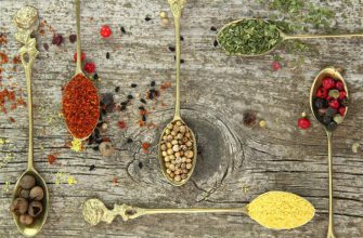 22 правила очищения организма