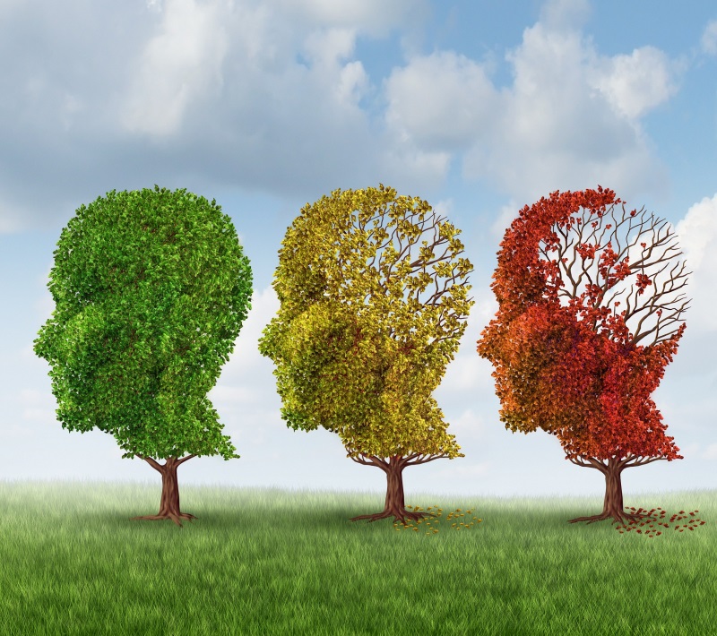 В здравом уме и твердой памяти: 4 научных способа продлить молодость мозга. Фитнес для мозга.