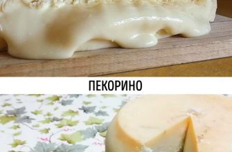 Как отличить настоящий сыр от подделки и всё, что нужно знать об этом продукте