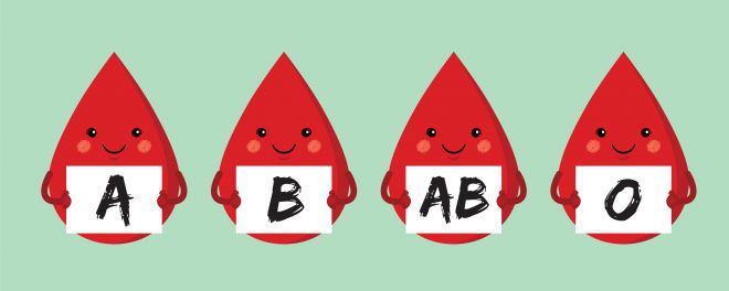 «Золотая» кровь и другие интересные факты о группах крови