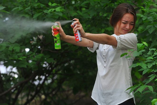 7 запахов, которые отпугнут комаров