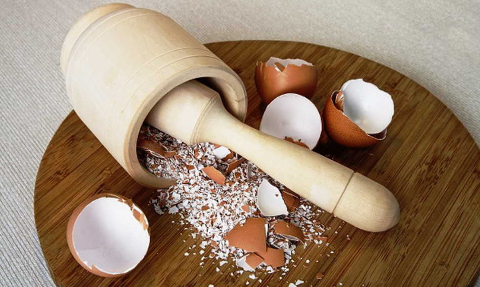 Куриное яйцо — лечебное средство. Рецепты наших бабушек