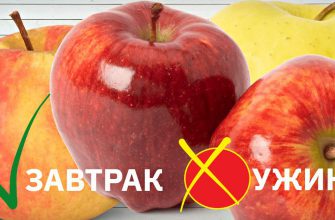 Диетолог предупреждает! Как меняются свойства продуктов в зависимости от времени суток. Обрати внимание, если хочешь похудеть.