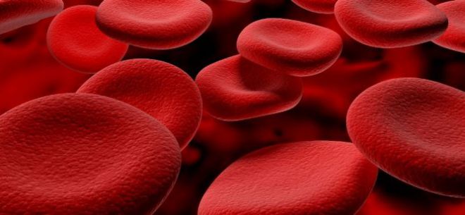 25 малоизвестных и удивительных фактов о группах крови