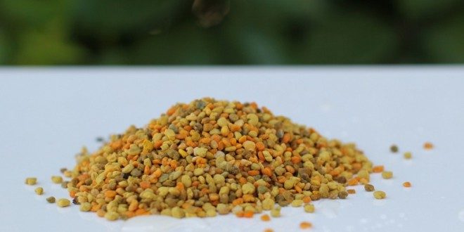 Целебные свойства цветочной пыльцы