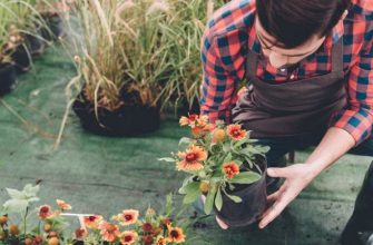 Советы, как не сорвать спину на даче