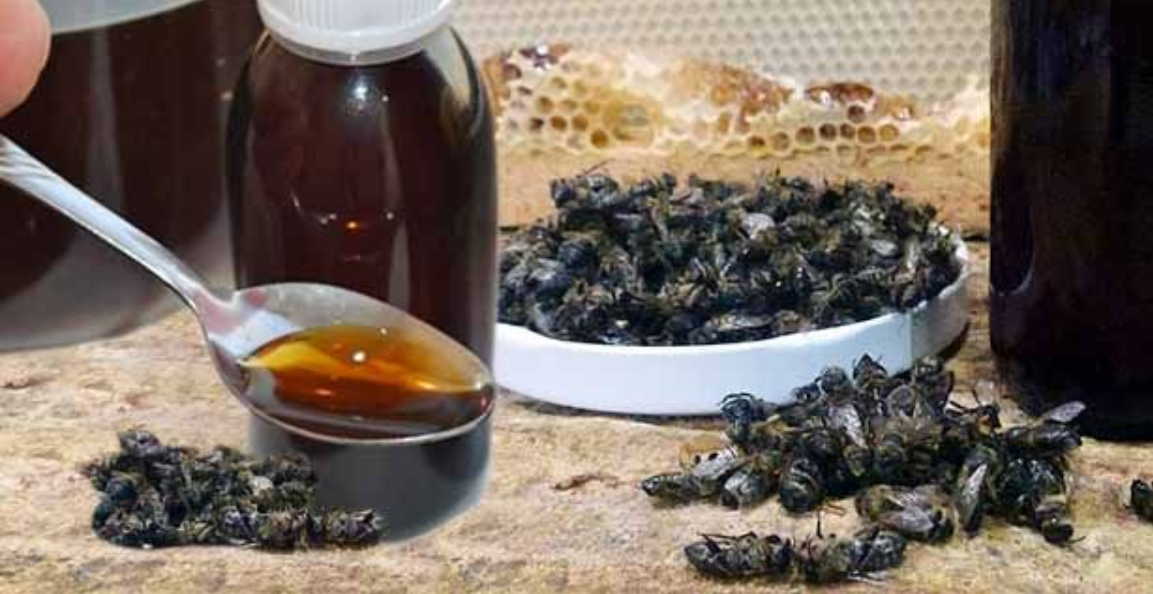 Настойка пчелиного подмора — эликсир от 100 болезней, даже онко