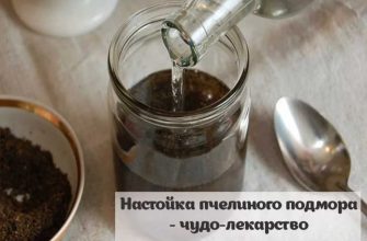 Настойка пчелиного подмора — эликсир от 100 болезней, даже онко