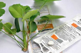 ЭТО СРЕДСТВО РЕАНИМИРУЕТ ДАЖЕ САМОЕ БЕЗНАДЕЖНОЕ РАСТЕНИЕ