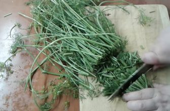 Не выкидывайте стебли укропа. Из них можно сделать кое-что очень вкусное.