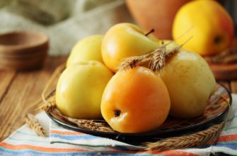 Моченые яблоки в банках, идеальный рецепт! Думала, яблок вкуснее свежих не бывает, пока не попробовала моченые.