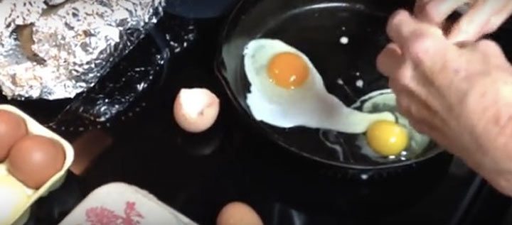 Как определить яйца, которые снесла здоровая курица?