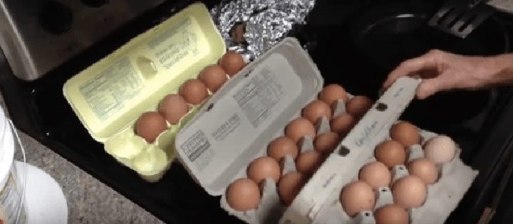 Как определить яйца, которые снесла здоровая курица?