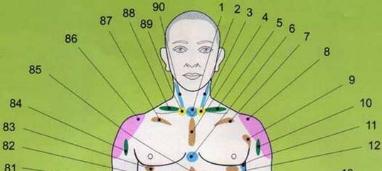 Проекционные зоны внутренних органов на теле человека по Огулову — узнайте себя лучше!