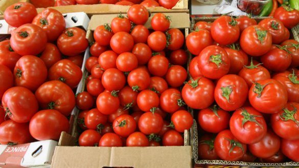 Чем вызван «картонный» привкус магазинных помидоров?
