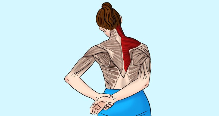 Упражнения для снятия напряжения в шее и плечах