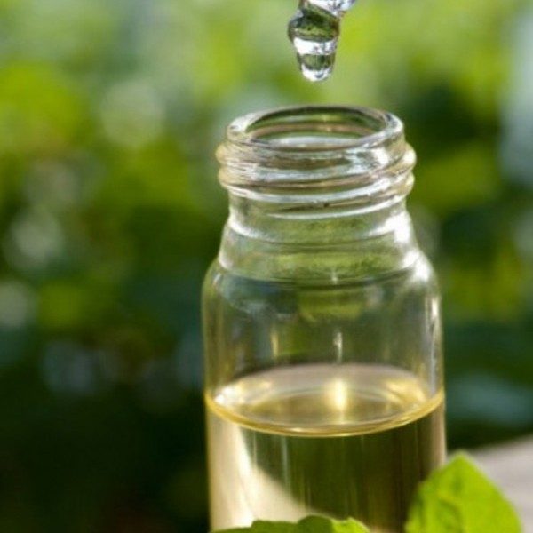 Полезные свойства масла чайного дерева