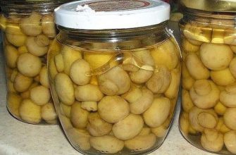 Фантастически вкусные маринованные шампиньоны «2 часа»!