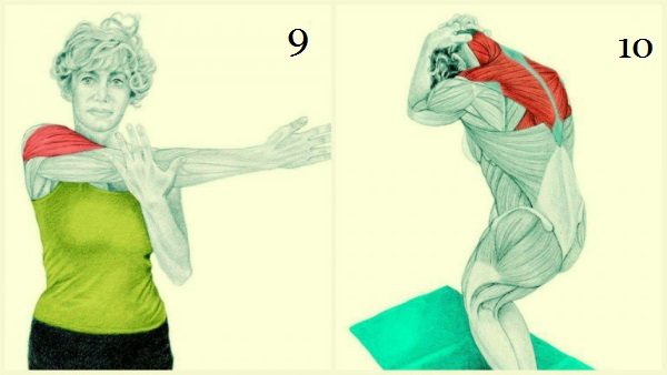 20 упражнений для гибкости тела