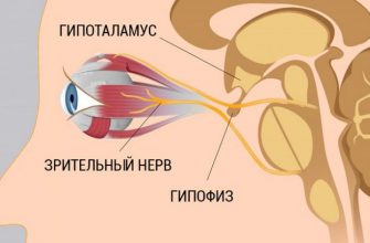 8 шагов к улучшению и восстановлению зрения