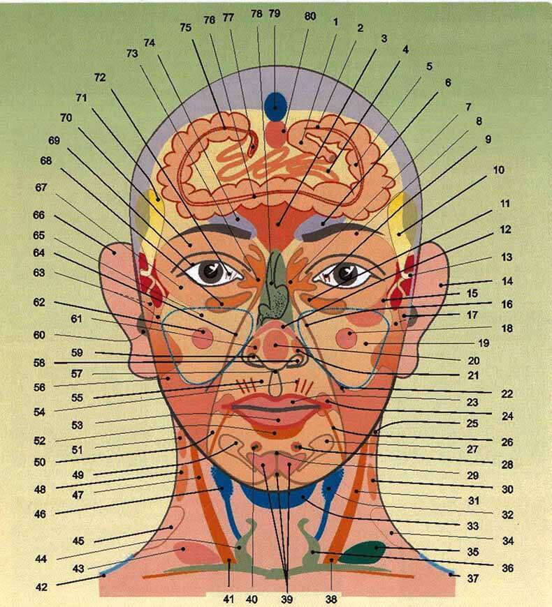 Панорама лица человека: Искусство диагностики болезней по лицу