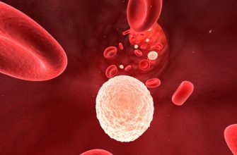 Как повысить уровень лейкоцитов в крови
