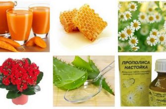 Рецепты народной медицины для лечения стоматита
