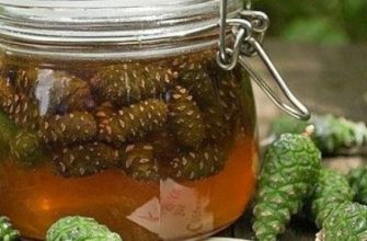 Инсульт боится сосновых шишек