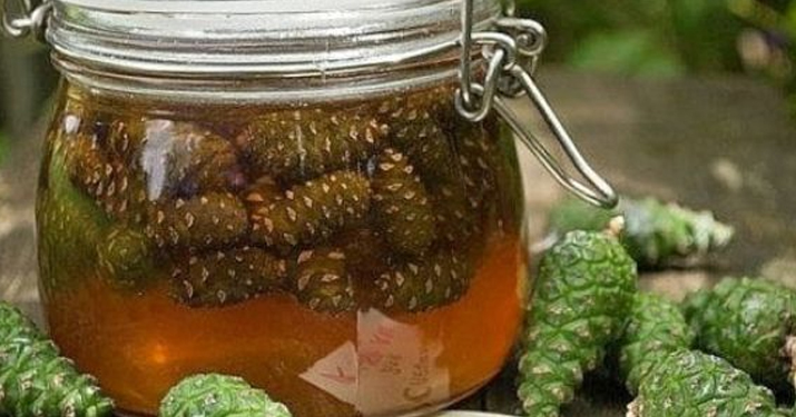 Инсульт боится сосновых шишек