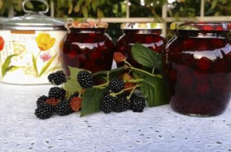 Домашний ежевичный сироп для лечения простуды и кашля