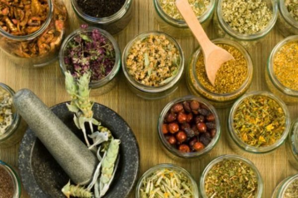 Как очистить кишечник с помощью трав - Образованная Сова