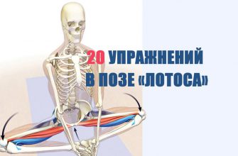 20 упражнений в позе «лотоса», которые дают максимальный оздоровительный эффект!
