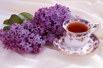 ВАРЕНЬЕ ИЗ СИРЕНИ