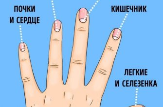 О чём предупреждают нас лунки на ногтях
