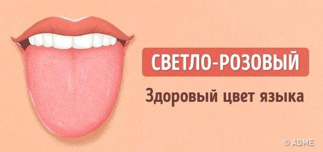 Цвет языка о чем говорит фото