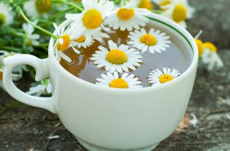 Чай с ромашкой защищает щитовидную железу