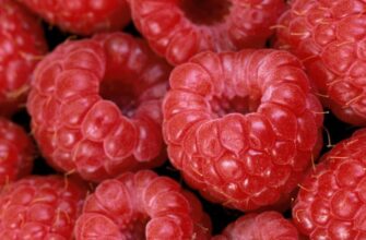 Продукты, которые можно есть на ночь