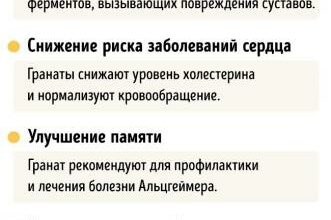 Полезные свойства граната