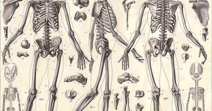 Воспалительные заболевания суставов — это заболевания лимфатической системы